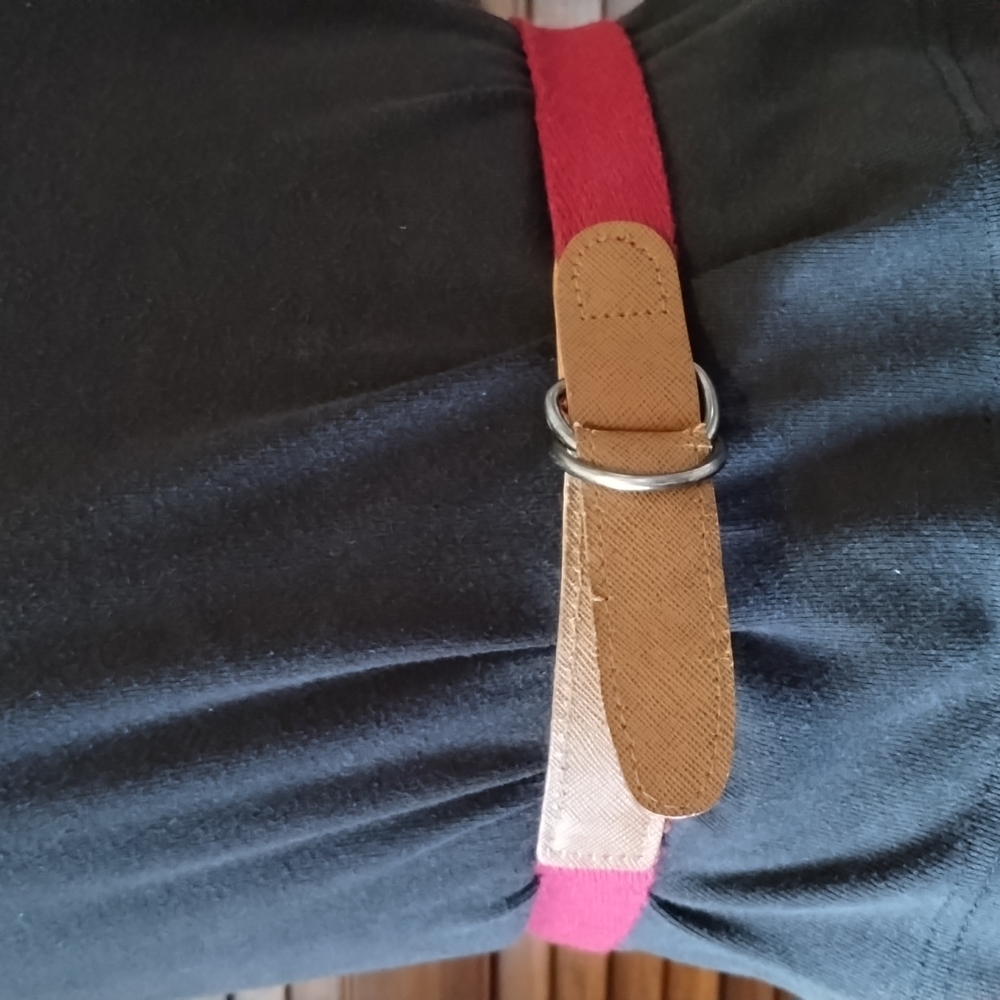 Reversible Web Belt
